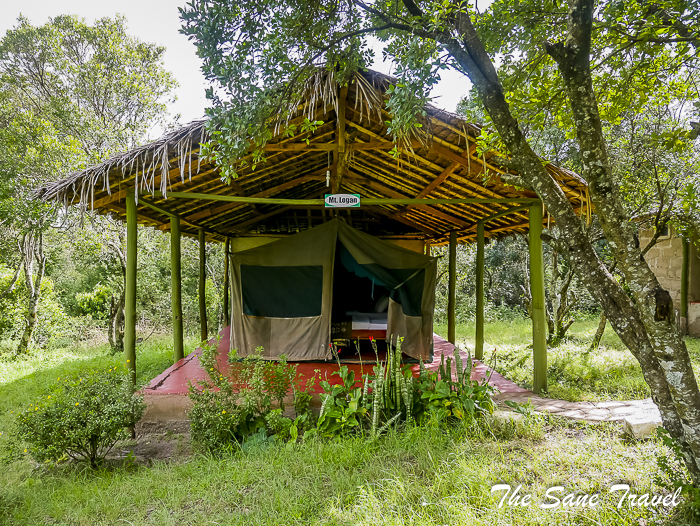 18 masai mara safari thesanetravel.com 1480398