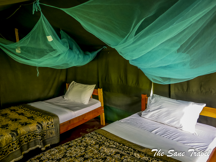 19 masai mara safari thesanetravel.com 1480395