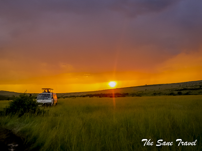 32 masai mara safari thesanetravel.com 1480631