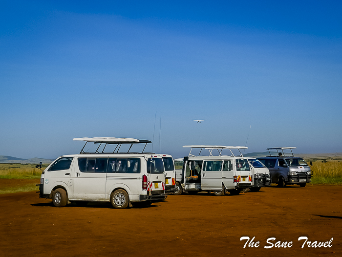 53 masai mara safari thesanetravel.com 1480872