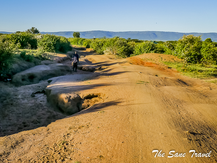 95 masai mara safari thesanetravel.com 1490567