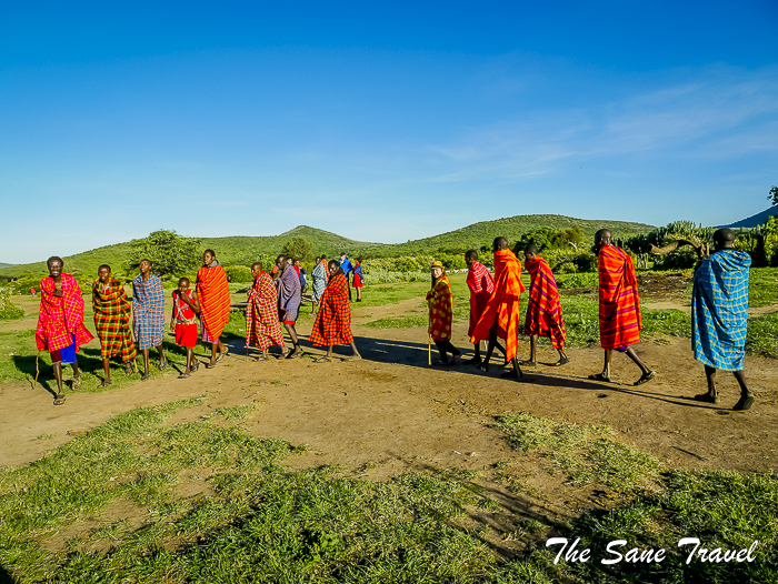 96 masai mara safari thesanetravel.com 1490583