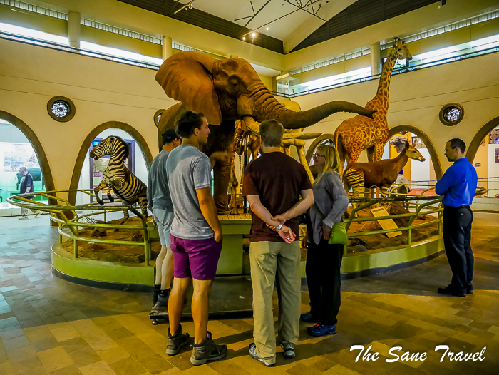 80nairobi museum thesanetravel.com 1510315