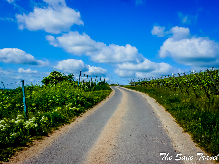 20 rudesheim www.thesanetravel.com 1410574