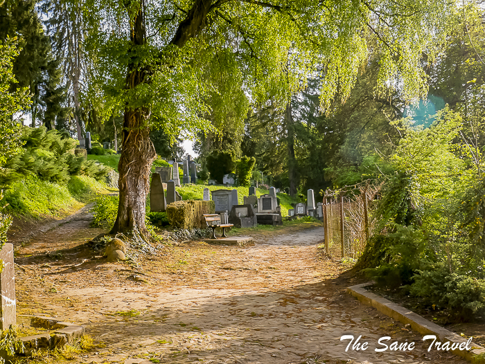 65sighisoara cemetery thesanetravel.com 1430070