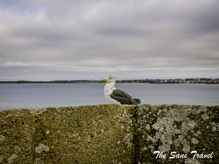 24 st malo france thesanetravel.com 1570628