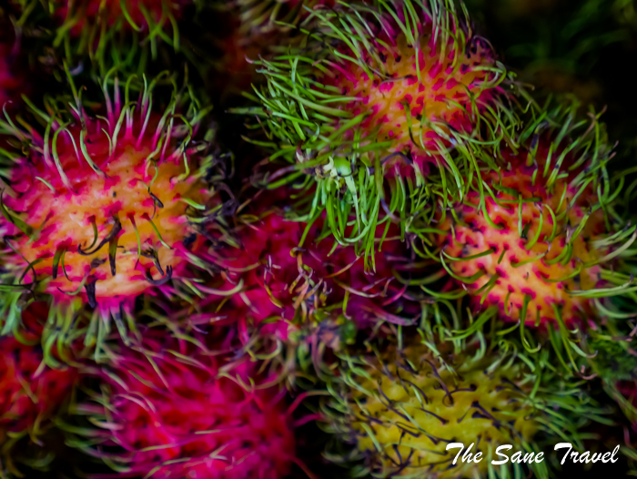 14 tagaytay philippines www.thesanetravel.com 1150597