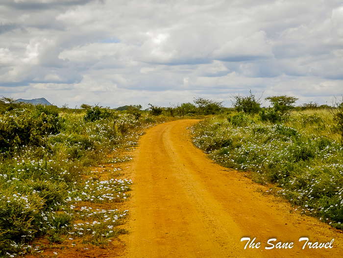 12 serena tsavo west kenya thesanetravel.com 1500790