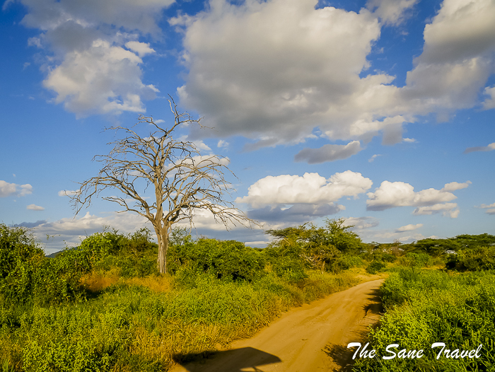 13 serena tsavo west kenya thesanetravel.com 1510014