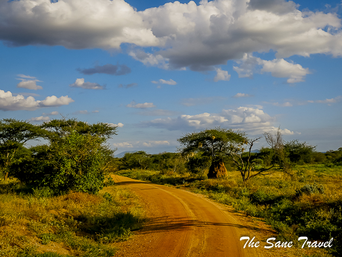 14 serena tsavo west kenya thesanetravel.com 1500988