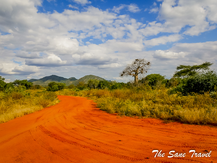 18 serena tsavo west kenya thesanetravel.com 1500923
