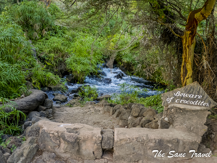 31 serena tsavo west kenya thesanetravel.com 1510126
