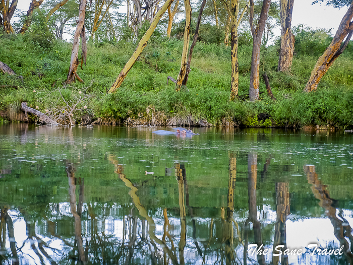 36 serena tsavo west kenya thesanetravel.com 1510159