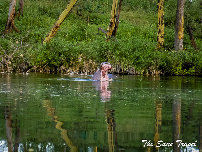 37 serena tsavo west kenya thesanetravel.com 1510155
