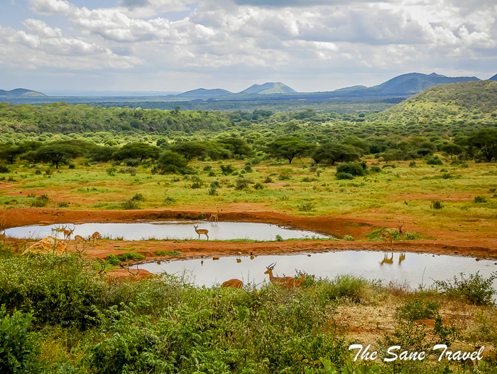62 serena tsavo west kenya thesanetravel.com 1500863