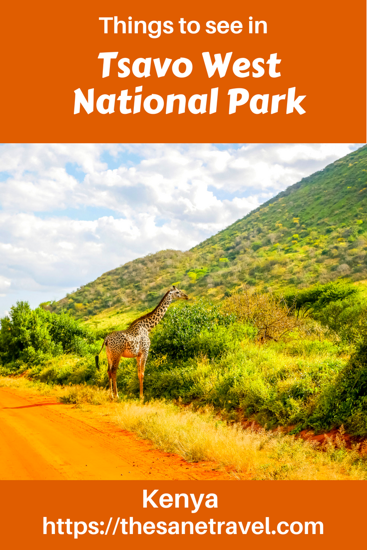If you think about places to visit in Kenya, make sure to include Tsavo West National park on your list. Tsavo West and Tsavo East together form one of the largest national parks in the world. It’s lesser known due to its large size and a smaller concentration of wildlife. I find Tsavo West a great combination of seeing wildlife and admiring stunning volcanic landscapes. So check yourself! #travel #travelAfrica #Kenyasafari #TsavoWest #KenyaNationalParks #travelblog #travelphotography