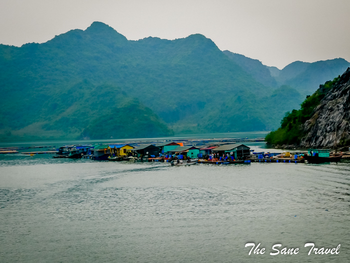 water village halong bay thesanetravel.com 1020187