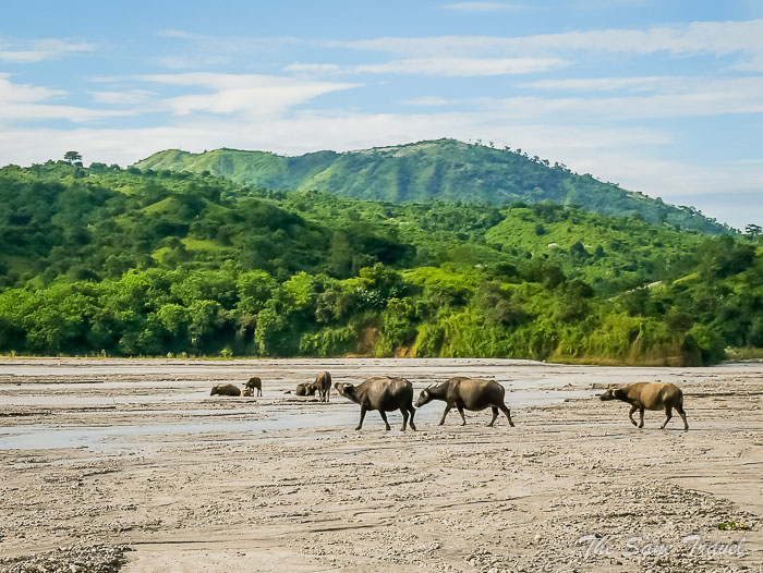 32 pinatubo thesanetravel.comP1150453
