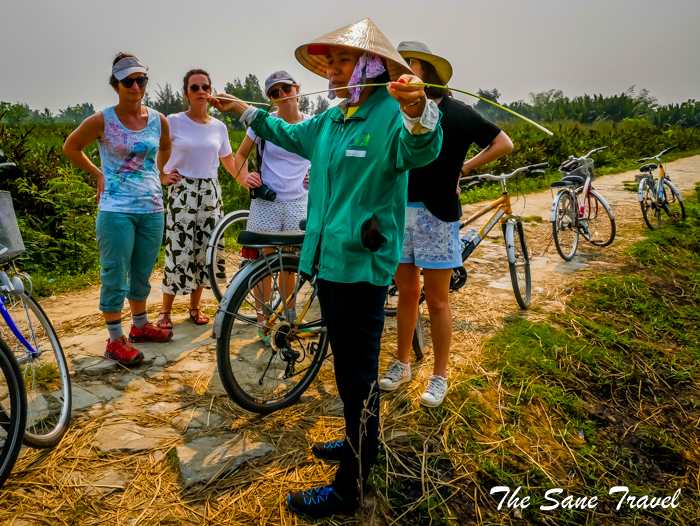 5 bike tour hoi an thesanetravel.com 1030200