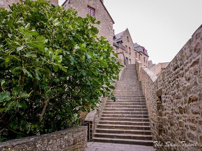 204 st michel france thesanetravel.comP1580073