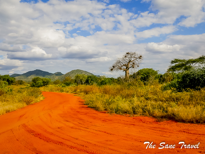 25tsavo west baobab 1500923