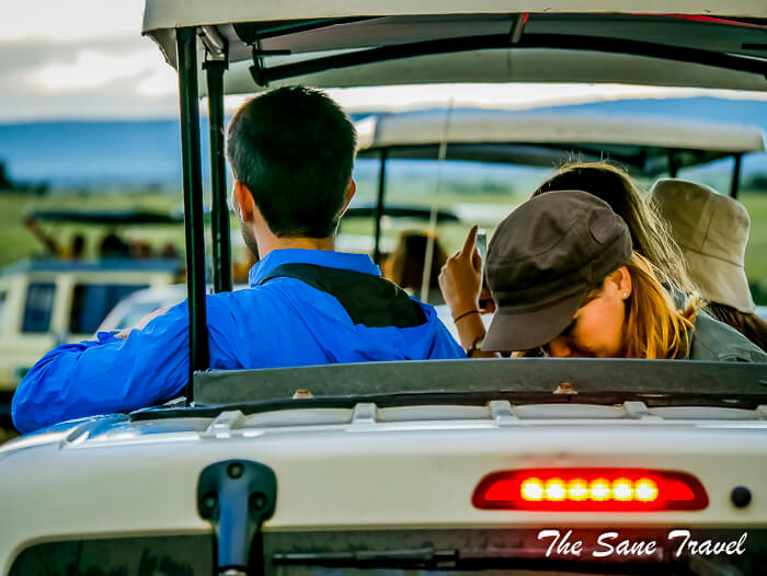 40safari planning 1480571