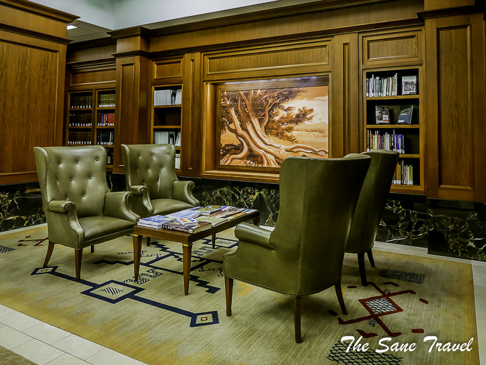 51 denver usa P1840091