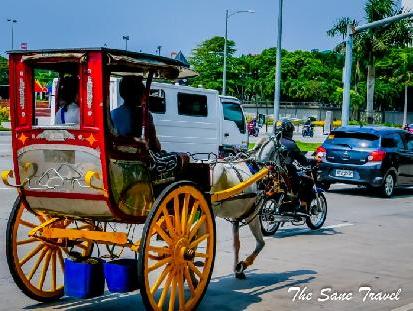 Your Guide on Public Transport in the Philippines