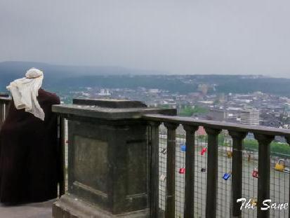 Rhine, castles and wineyards
