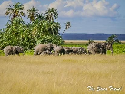 7 reasons to visit the Amboseli National Park, Kenya