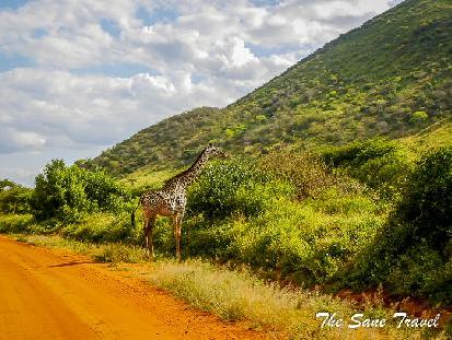 7 things to see in Tsavo West National Park, Kenya