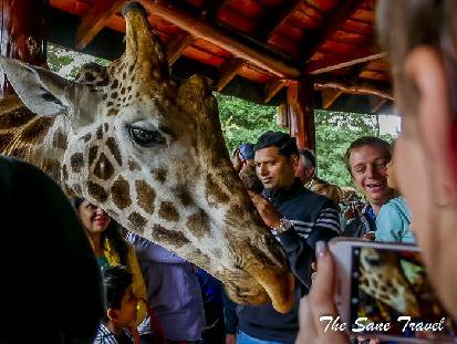 What to do in Nairobi in a day