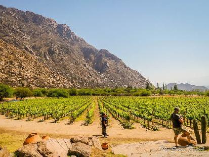3 best vineyards to visit in Cafayate