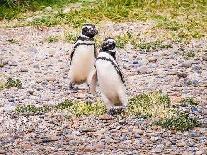 Puerto Madryn three-day road trip itinerary