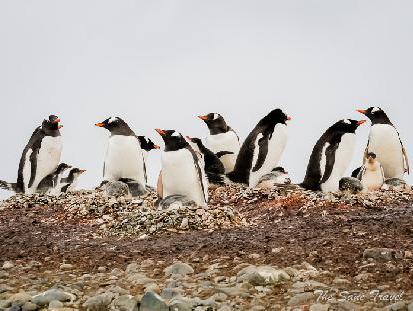 Tips for planning your Antarctica expedition