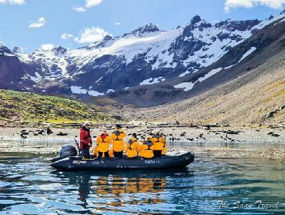 Review of Penguin safari trip by Quark Expeditions
