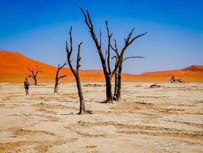 12 Fascinating places to visit in Namibia